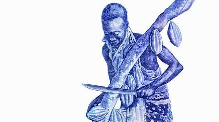 Imagem man-cutting-cocoa-pods-tree-260nw-1823368190